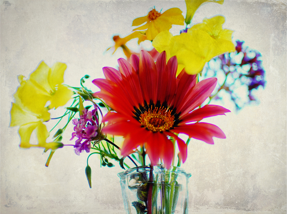 flowers from yard textured