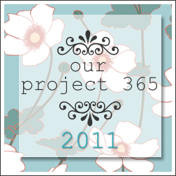 ourproject365_2011