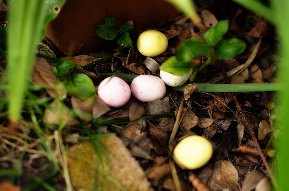 hidden eggs