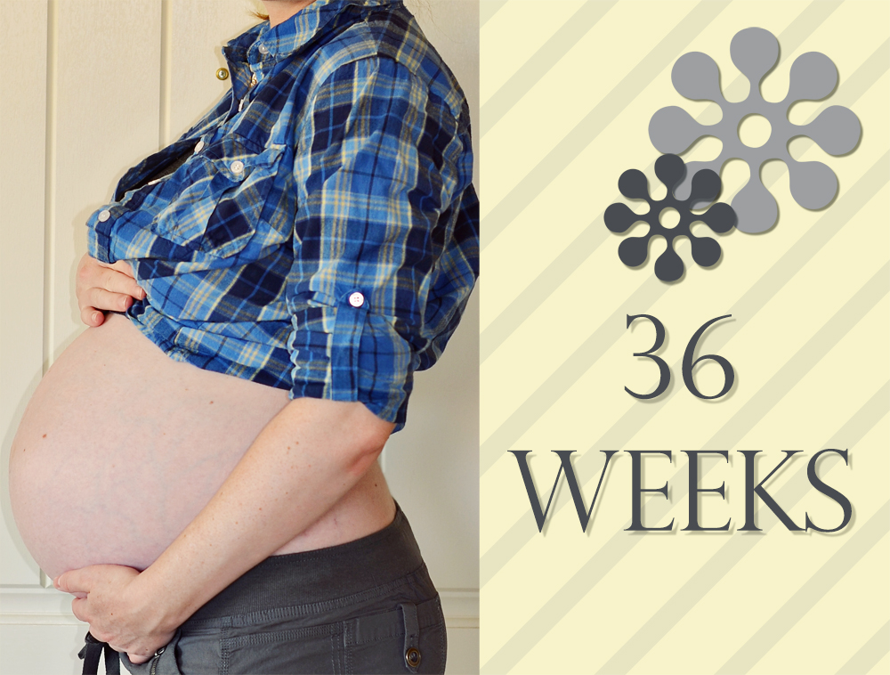 36 weeks