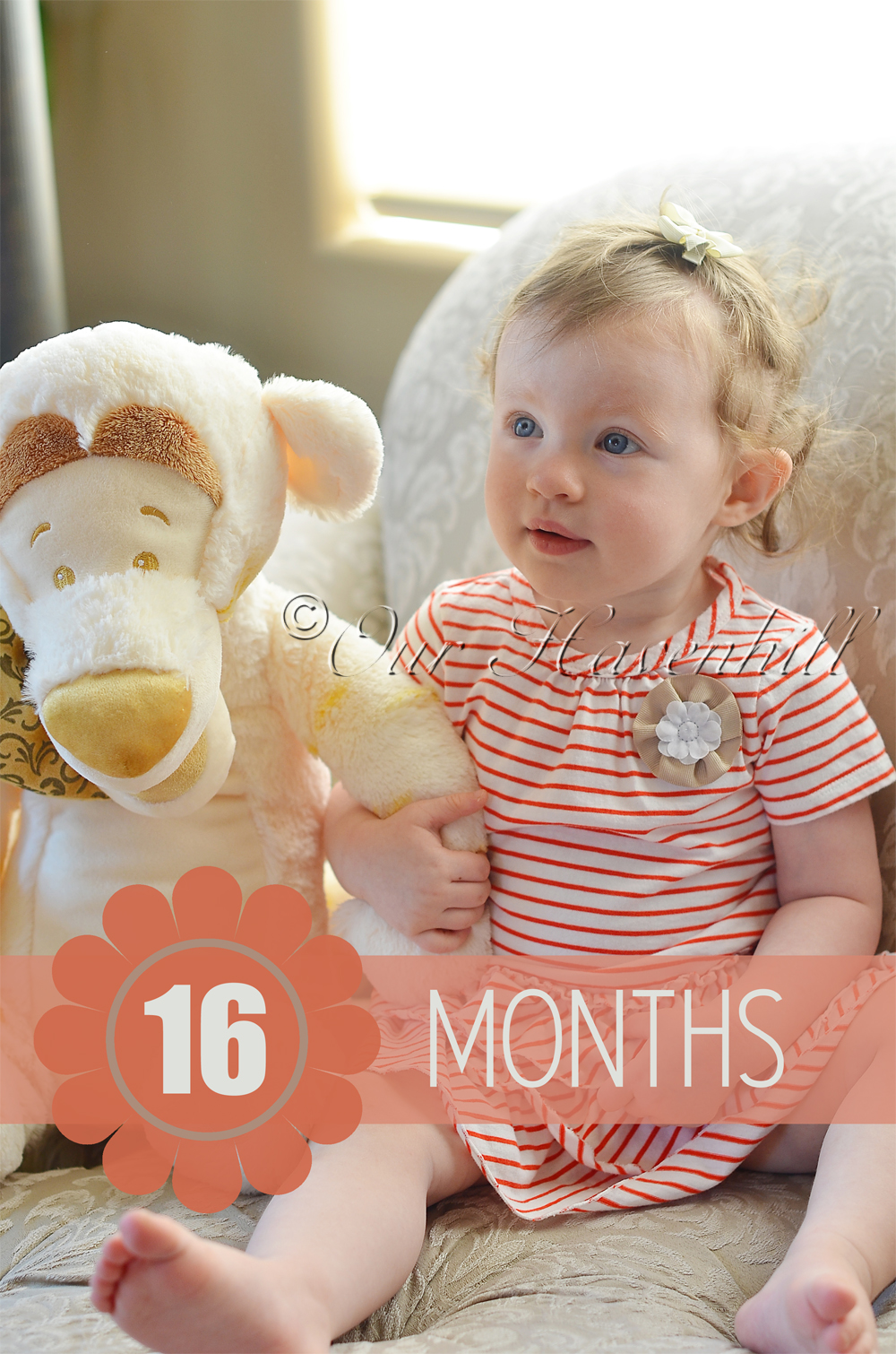 16 months old_